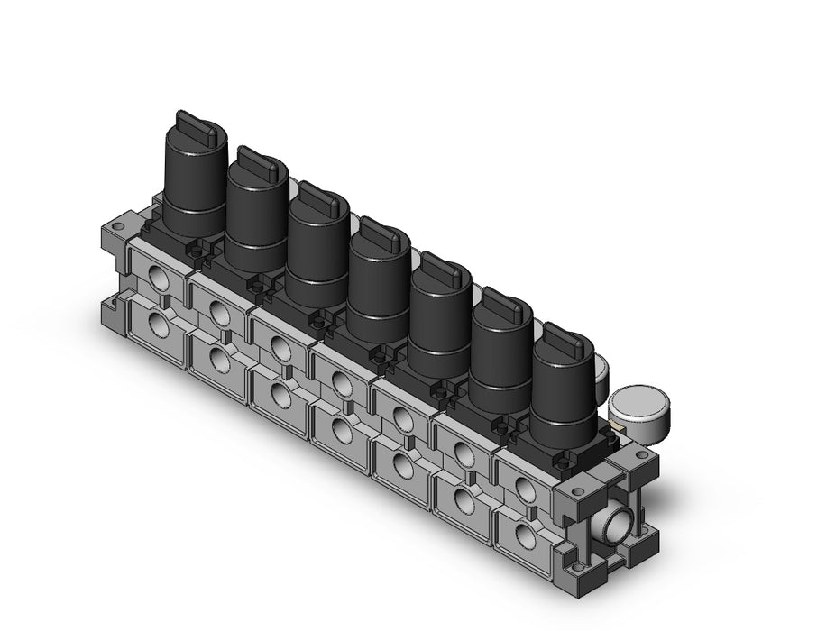 ARM2500-07A-02G2 MANIFOLD REGULATOR
