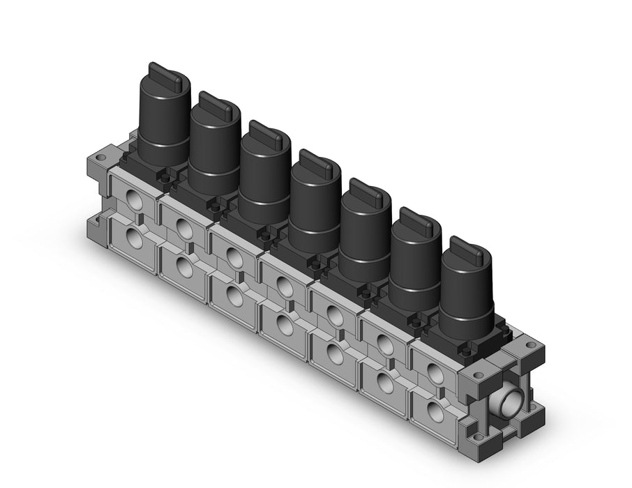 ARM2500-07A-N02 MANIFOLD REGULATOR