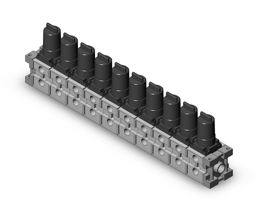 ARM2500-10A-N02 MANIFOLD REGULATOR