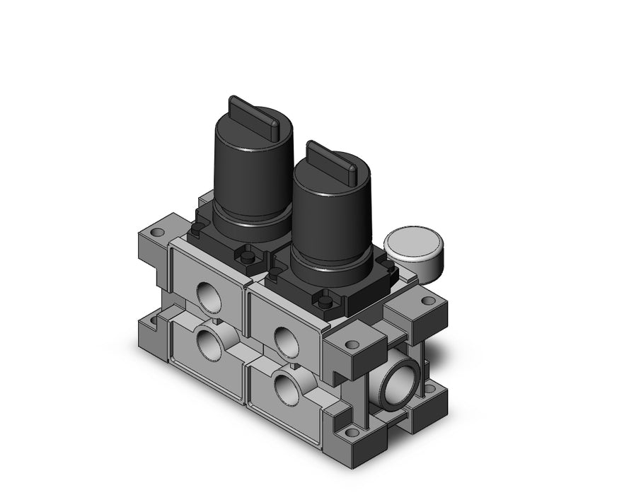 ARM3000-02A-03G2 MANIFOLD REGULATOR
