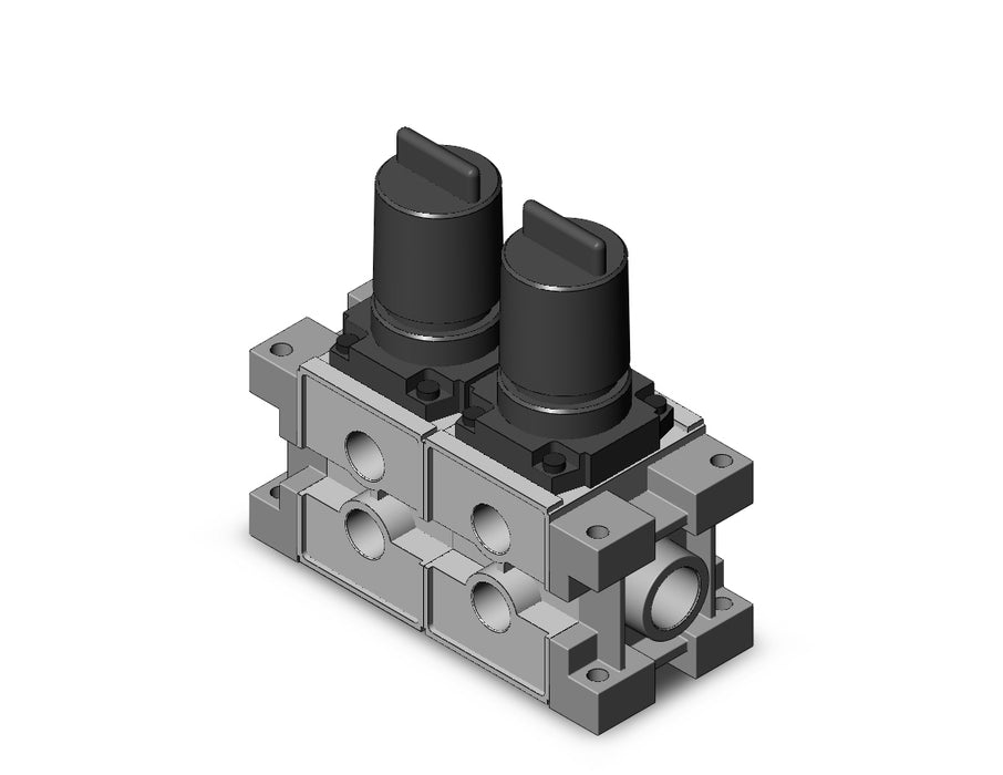ARM3000-02A-N03 MANIFOLD REGULATOR