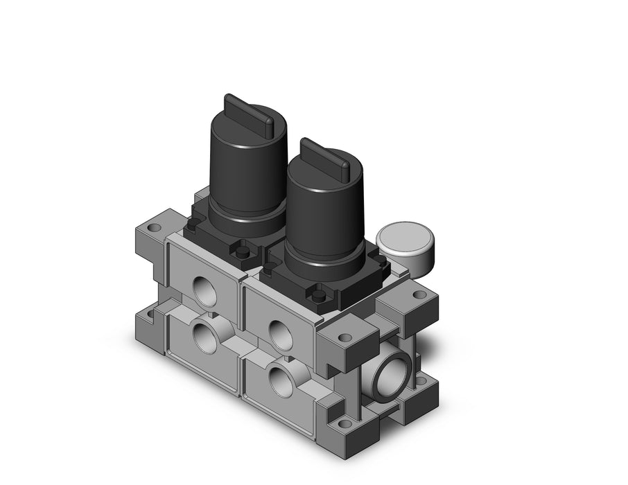 ARM3000-02B-N03G2 MANIFOLD REGULATOR