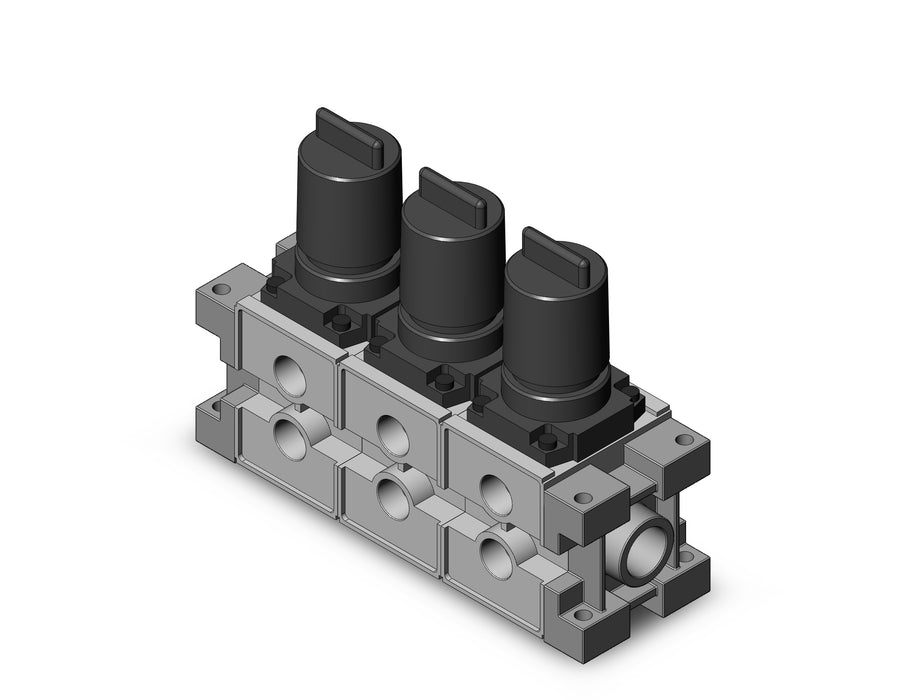 ARM3000-03A-N03 MANIFOLD REGULATOR