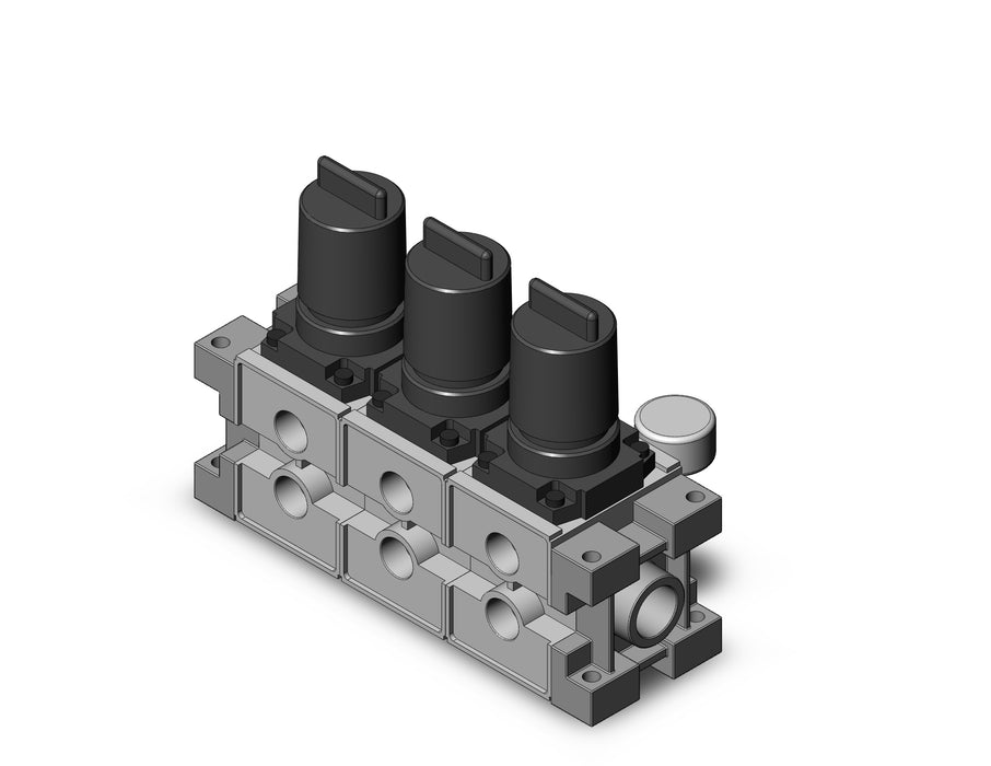 ARM3000-03B-03G2 MANIFOLD REGULATOR