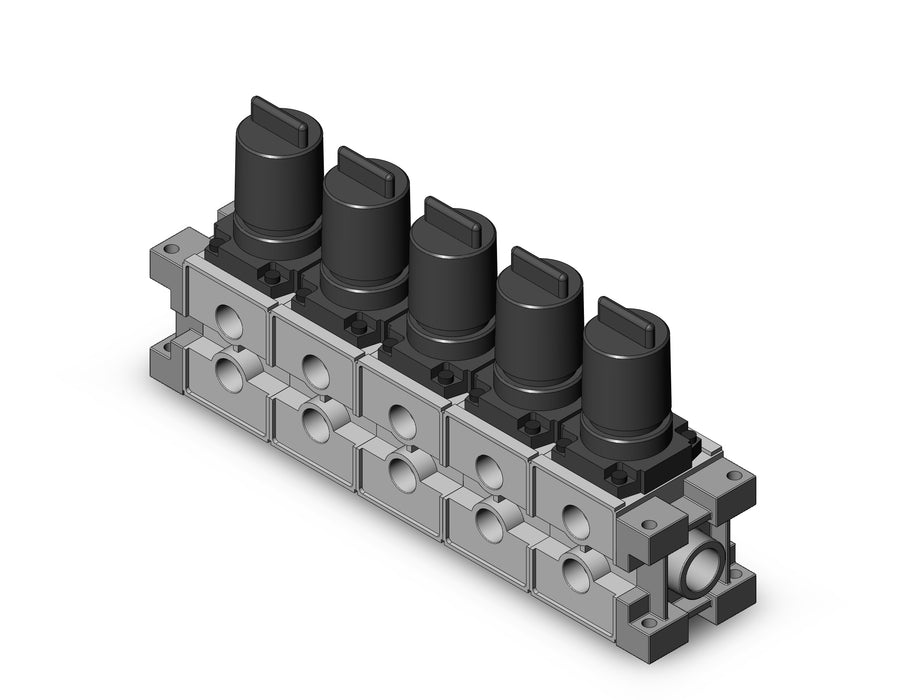 ARM3000-05A-N03 MANIFOLD REGULATOR