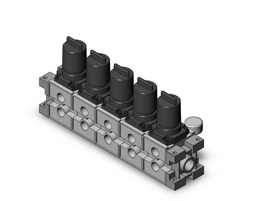 ARM3000-05B-03G2 MANIFOLD REGULATOR