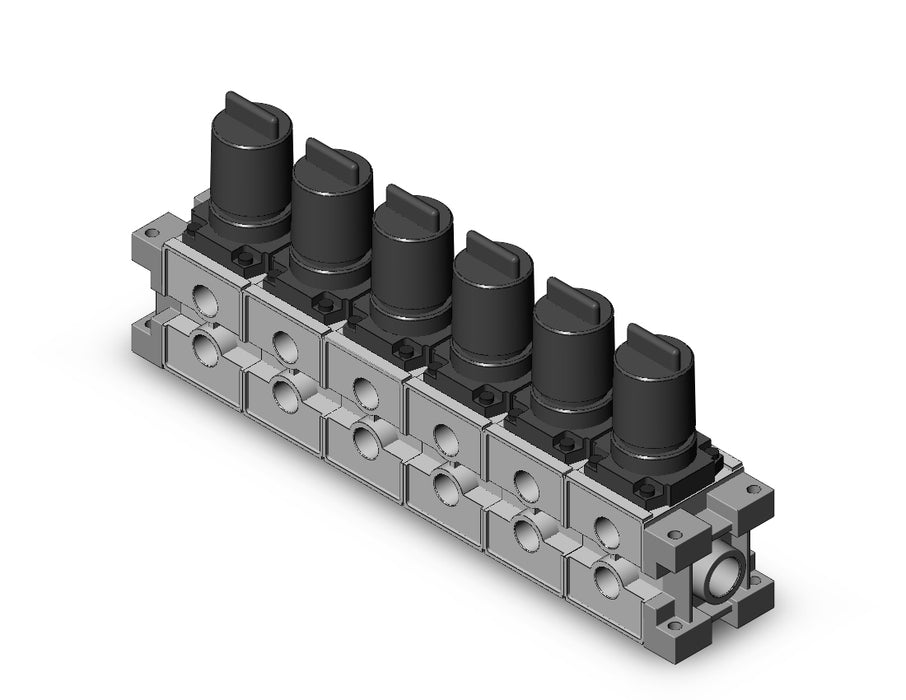 ARM3000-06A-03 MANIFOLD REGULATOR