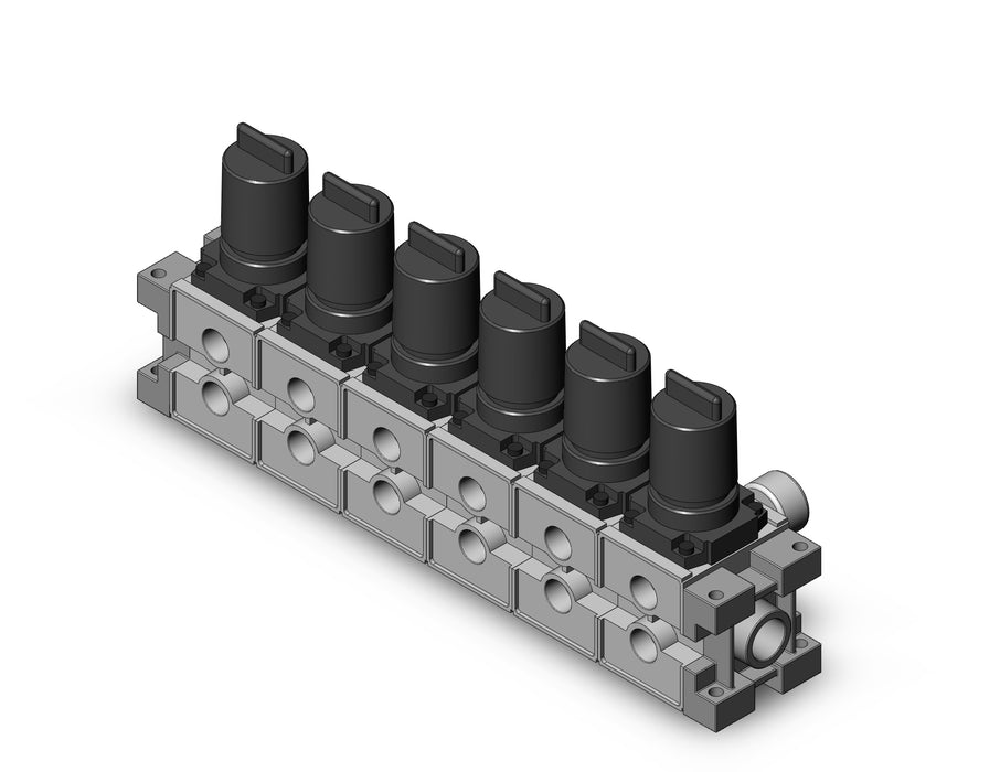 ARM3000-06A-N03G1 MANIFOLD REGULATOR