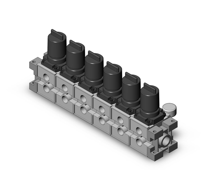 ARM3000-06B-N03G2 MANIFOLD REGULATOR