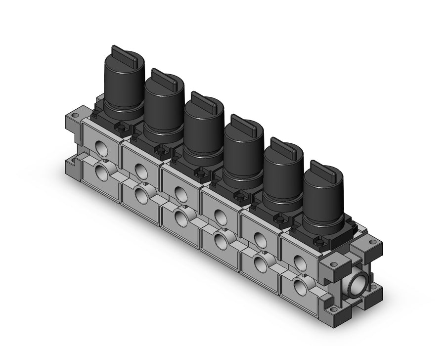 ARM3000-06B-N03 MANIFOLD REGULATOR