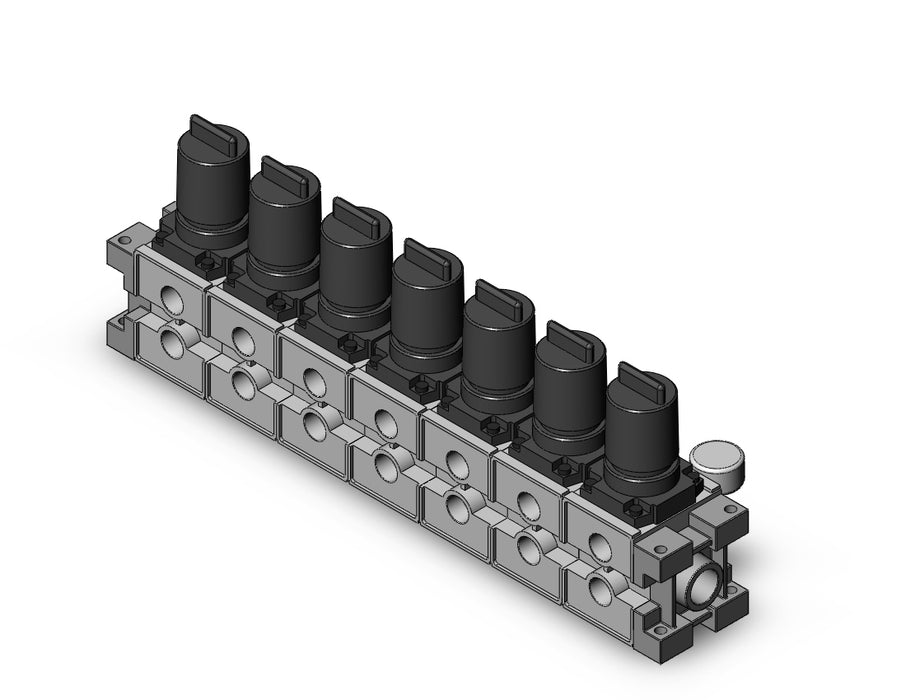 ARM3000-07A-N03G2 MANIFOLD REGULATOR