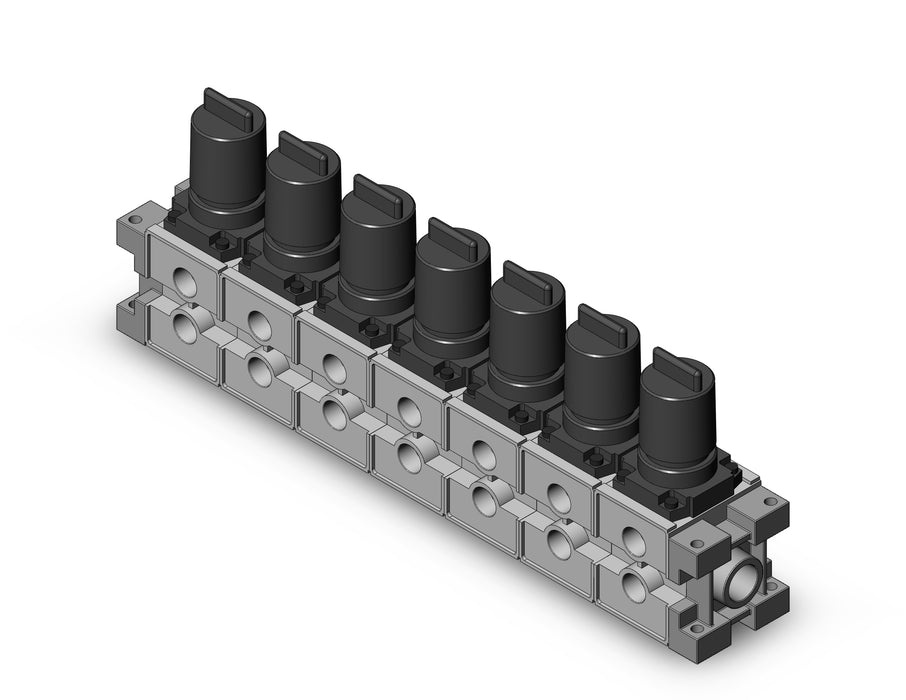 ARM3000-07B-N03 MANIFOLD REGULATOR