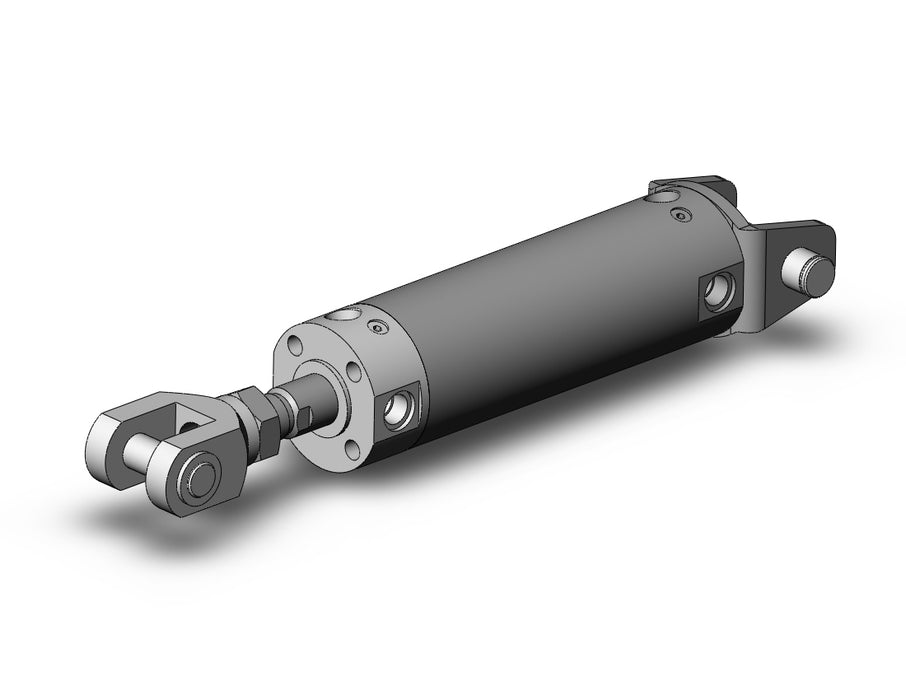 CDG1DA50-100Z-W CG1, Air Cylinder