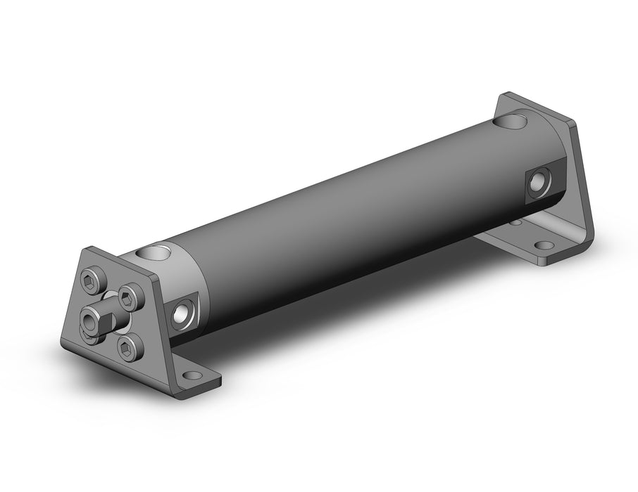 CDG1LN25TN-100FZ CG1, Air Cylinder