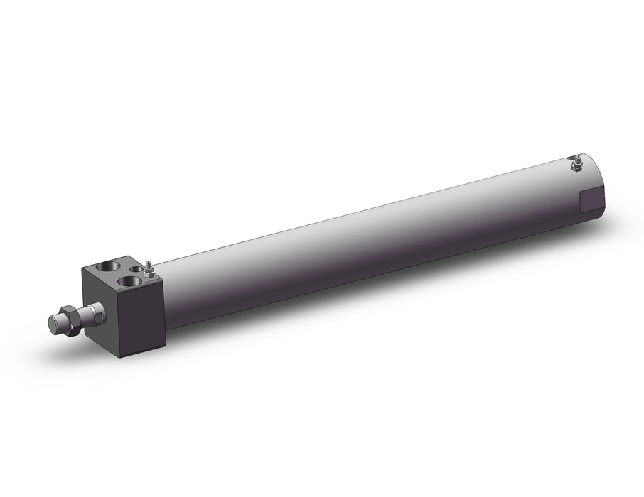 CDG1RA40-300Z CG1 Cylinder