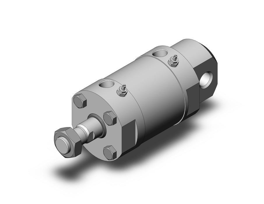 CDG5EA100SR-25 CG5, Stainless Steel Cylinder