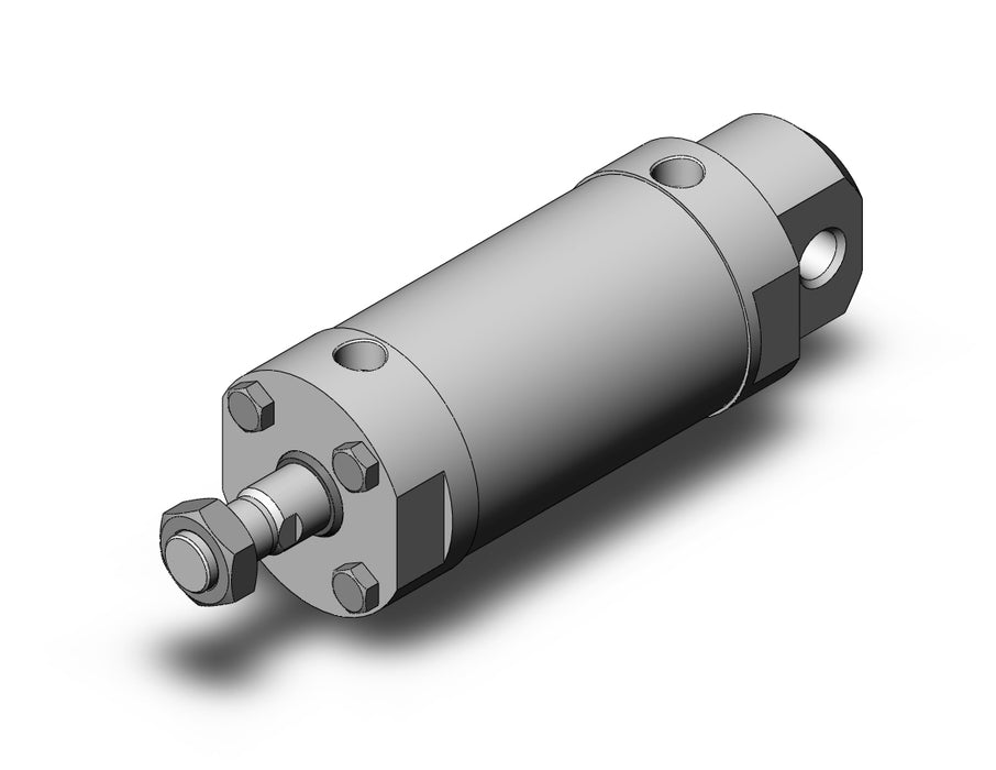 CDG5EN100TNSR-100 CG5, Stainless Steel Cylinder