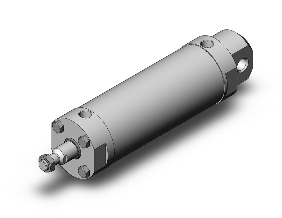 CDG5EN100TNSR-200-X165US CG5, Stainless Steel Cylinder