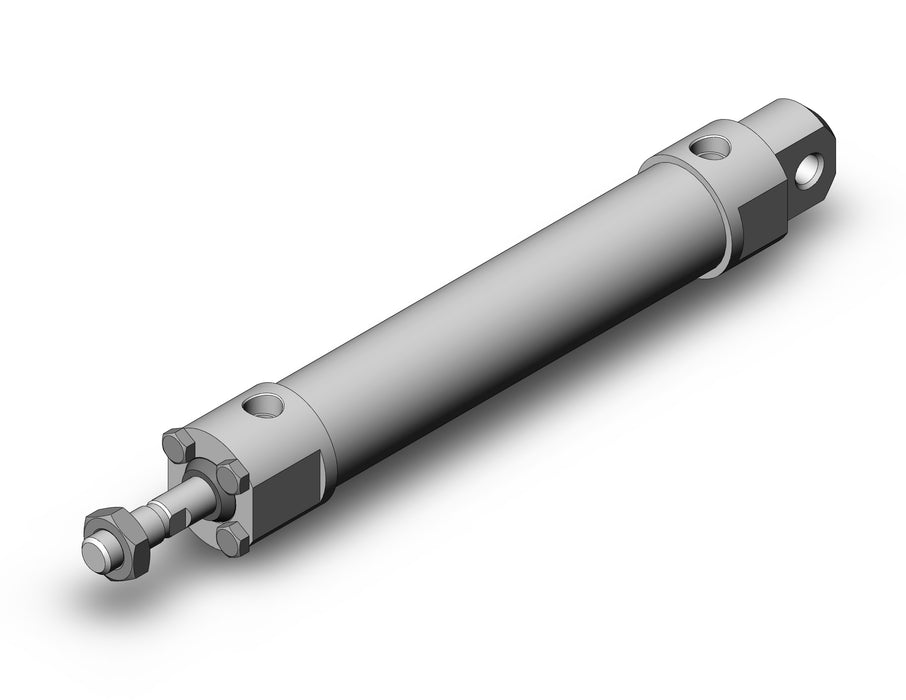 CDG5EN25TFSR-100 CG5, Stainless Steel Cylinder
