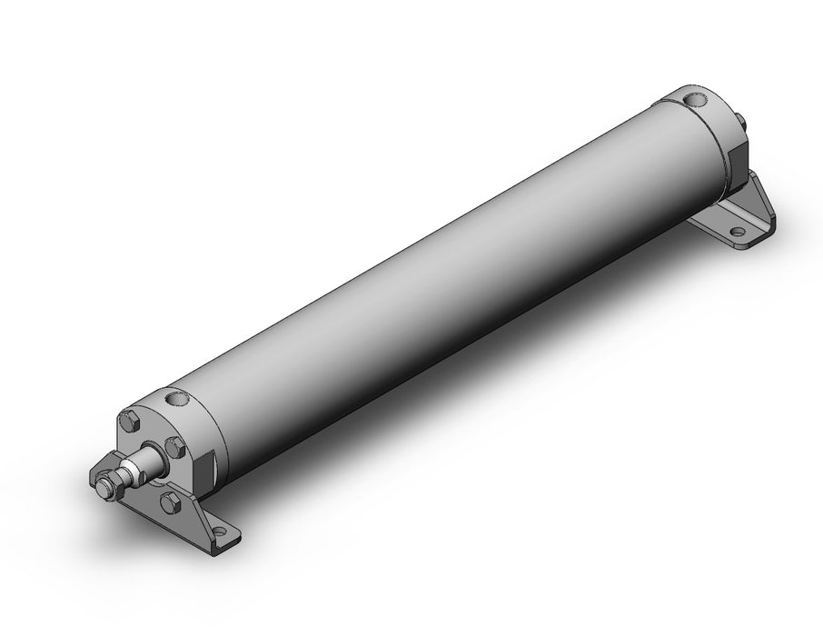 CDG5LN100TNSR-600-X165US CG5, STAINLESS STEEL CYLINDER