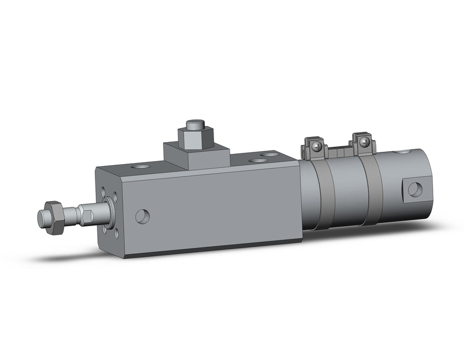CDLG1BN32-25-E-M9BZ-C CLG1, Fine Lock Cylinder