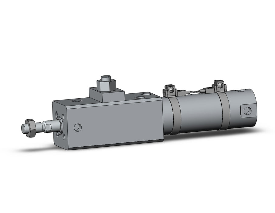 CDLG1BN32-50-E-M9BZ-C CLG1, Fine Lock Cylinder