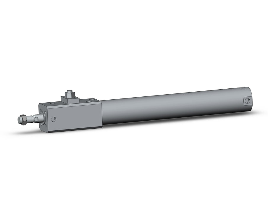 CDLG1BN40-250-D CLG1, Fine Lock Cylinder