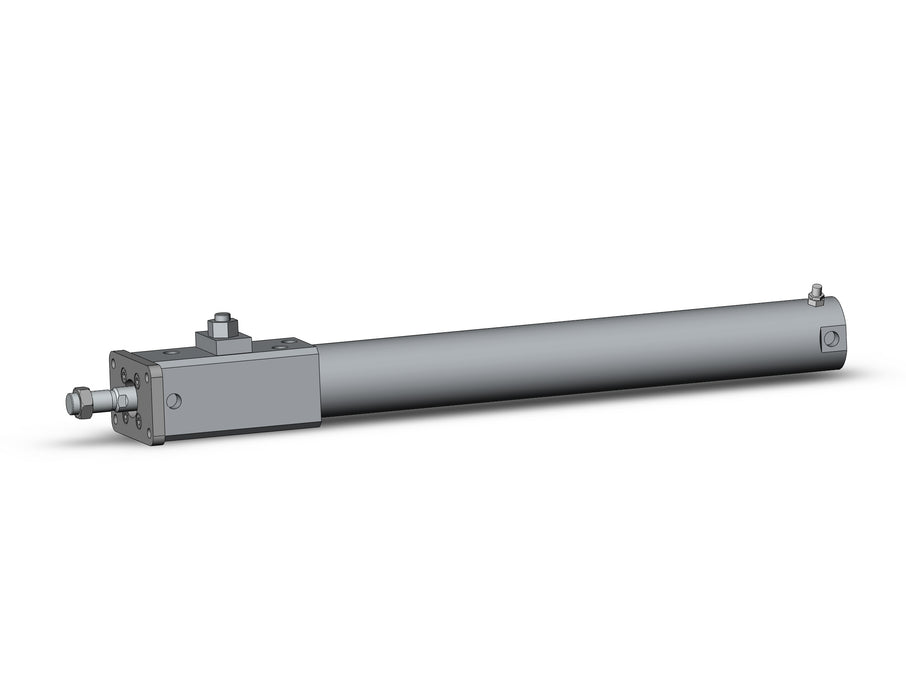 CDLG1FA40-300-E CLG1, Fine Lock Cylinder