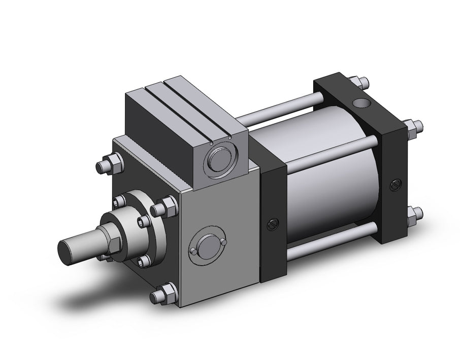 CDLSB125TN-100-D CLS Cylinder