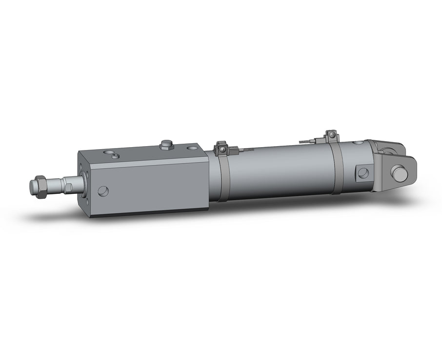 CDNGDN40TN-100-D-M9PSAPC-C CNG, Cylinder with Lock
