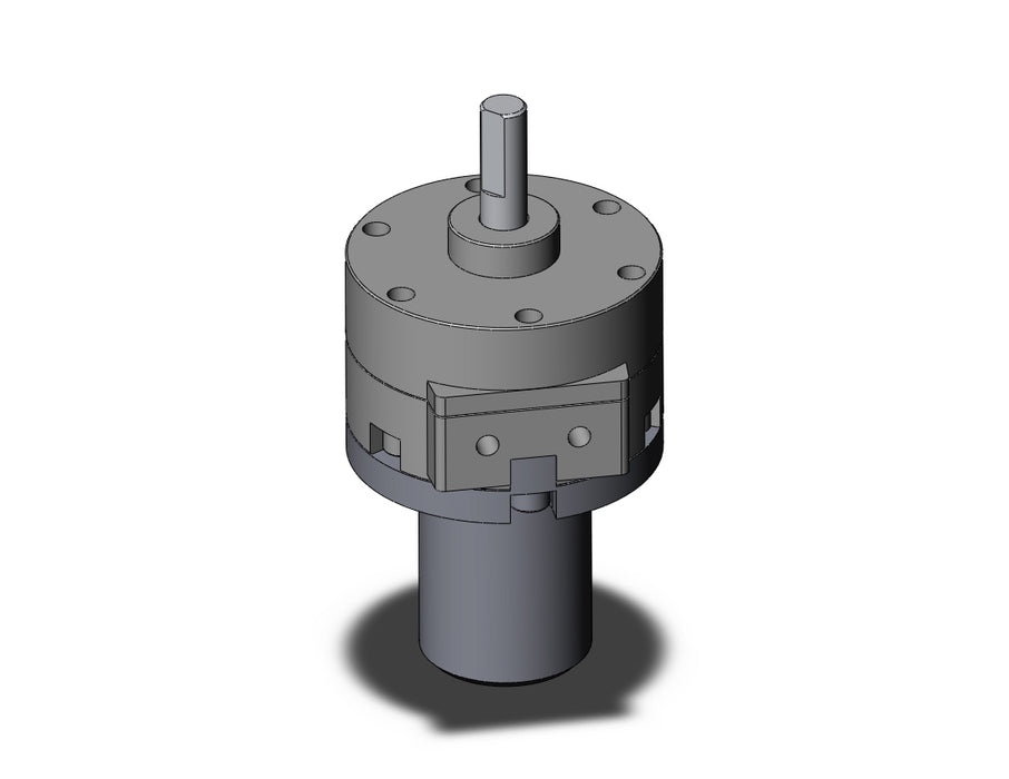CDRB2BW15-100DZ Actuator, Rotary, Vane Type