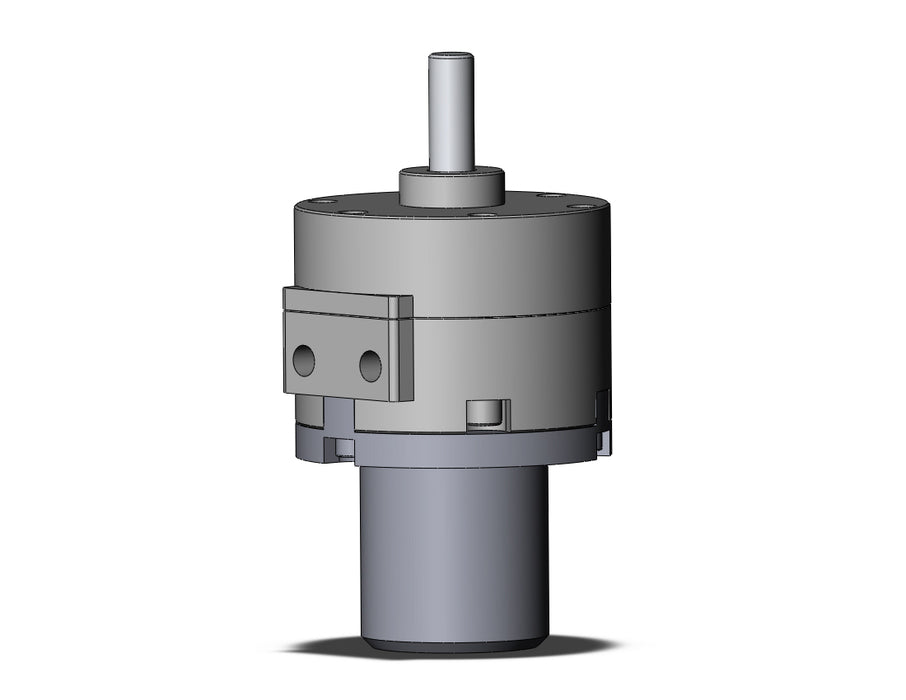 CDRB2BW20-180SZ Actuator, Rotary, Vane Type
