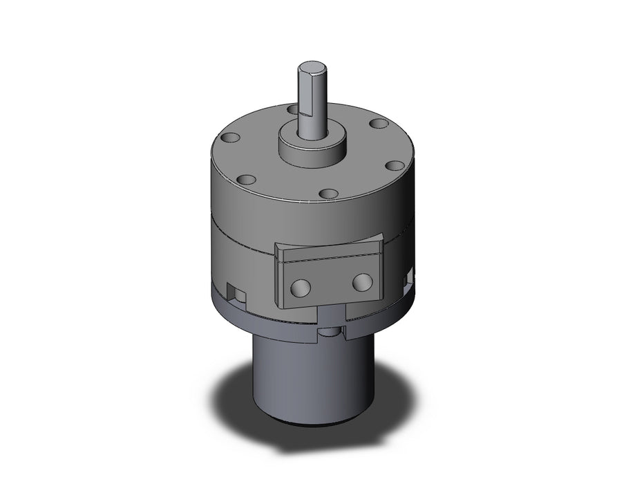 CDRB2BW20-90DZ Actuator, Rotary, Vane Type
