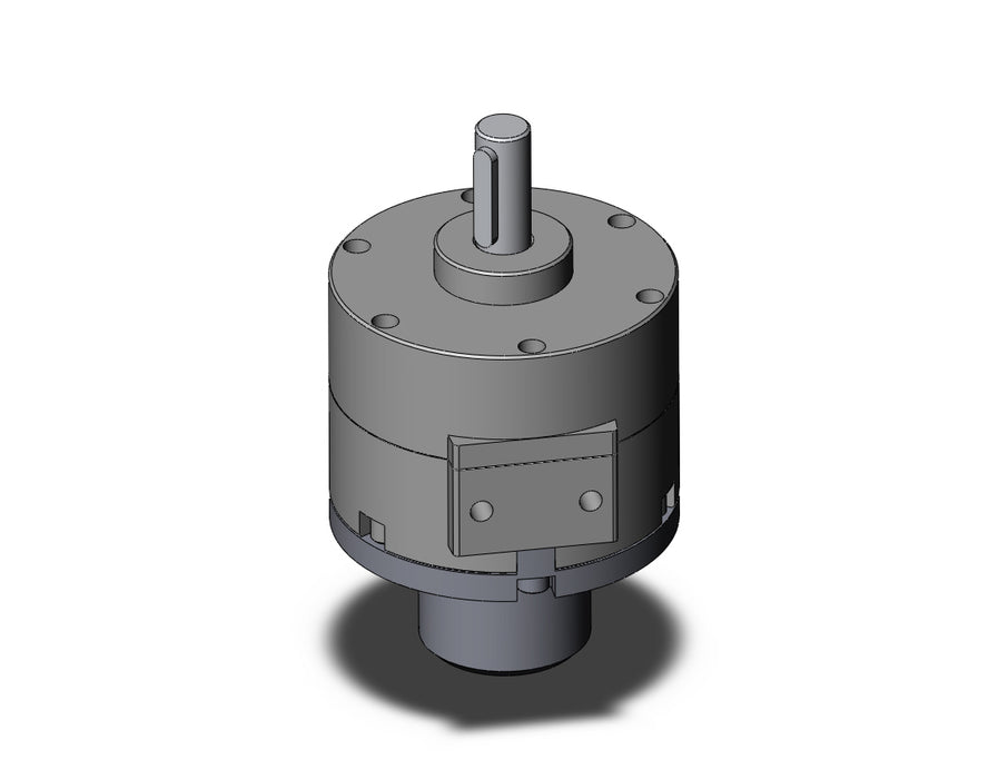 CDRB2BW40-100DZ Actuator, Rotary, Vane Type