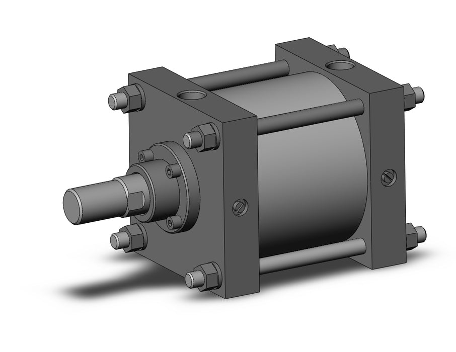CDS1B160-100 CS1 Cylinder