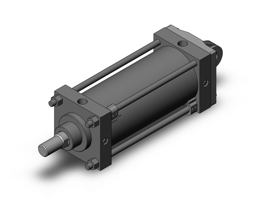 CDS1CN125-250-A96L CS1 Cylinder