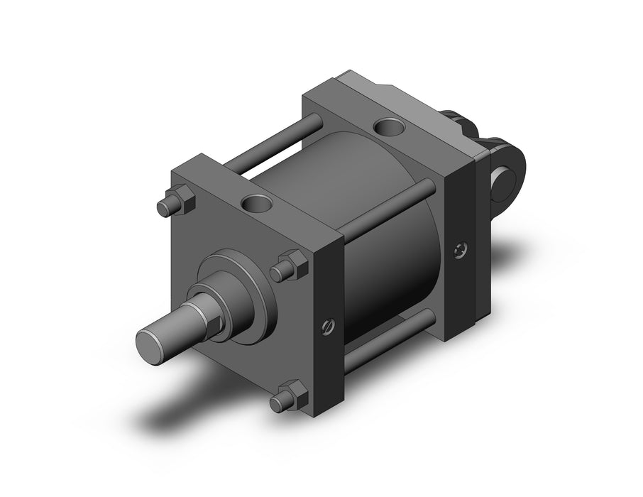 CDS1DN160-100 CS1 Cylinder