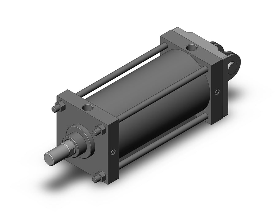 CDS1DN160-300 CS1 Cylinder