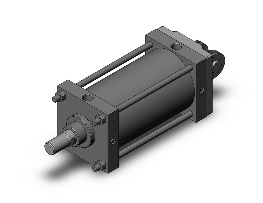 CDS1DN160TN-250 CS1 Cylinder