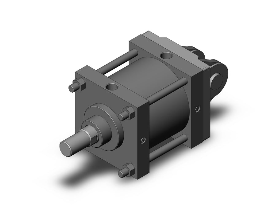 CDS1DN180-100 CS1 Cylinder