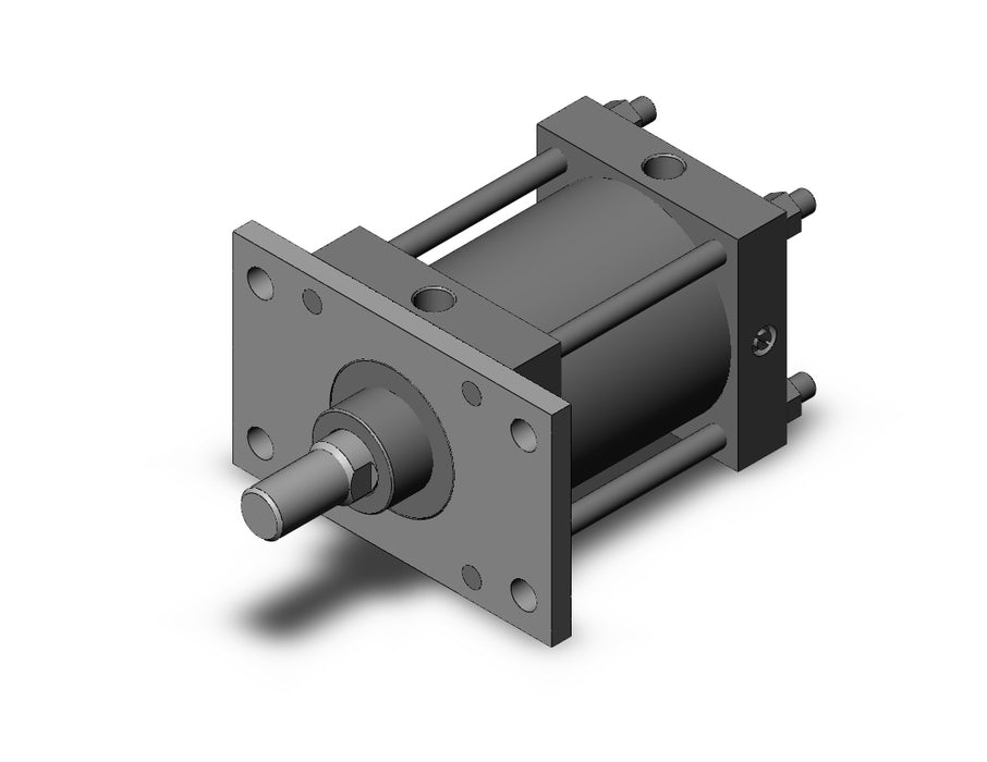 CDS1FN125TN-100 CS1 Cylinder