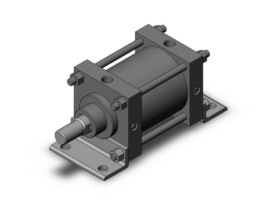 CDS1LN125-100 CS1 Cylinder