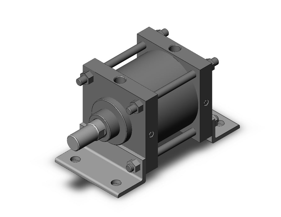 CDS1LN180-100 CS1 Cylinder