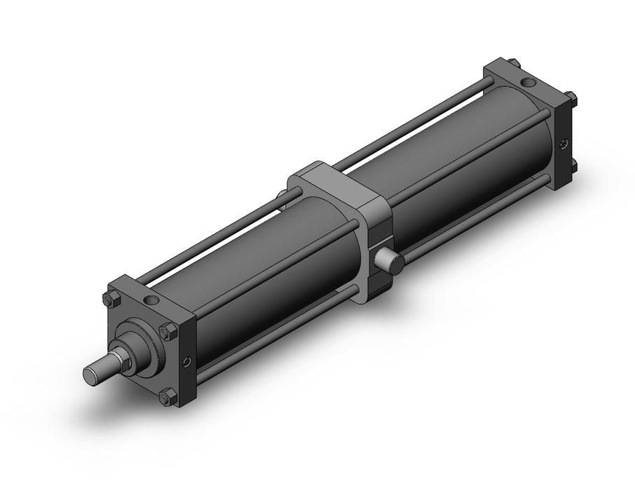 CDS1TN125-700 CS1 Cylinder