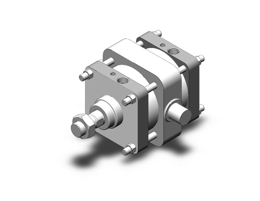 CDS2T160-100 Cylinder, Tie Rod, CS2