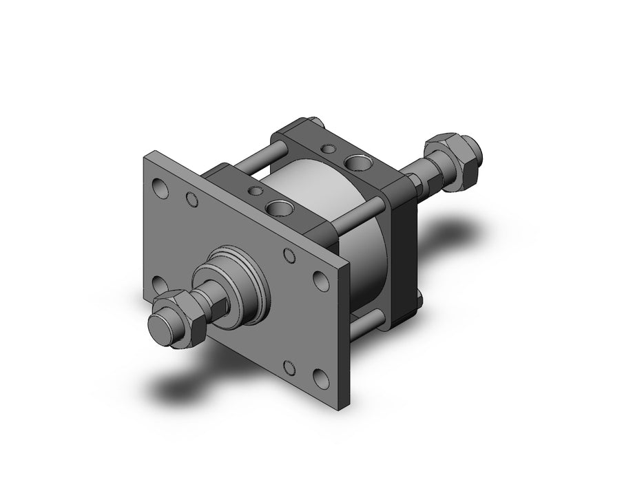 CDS2WF125-25 Cylinder, Tie Rod, CS2