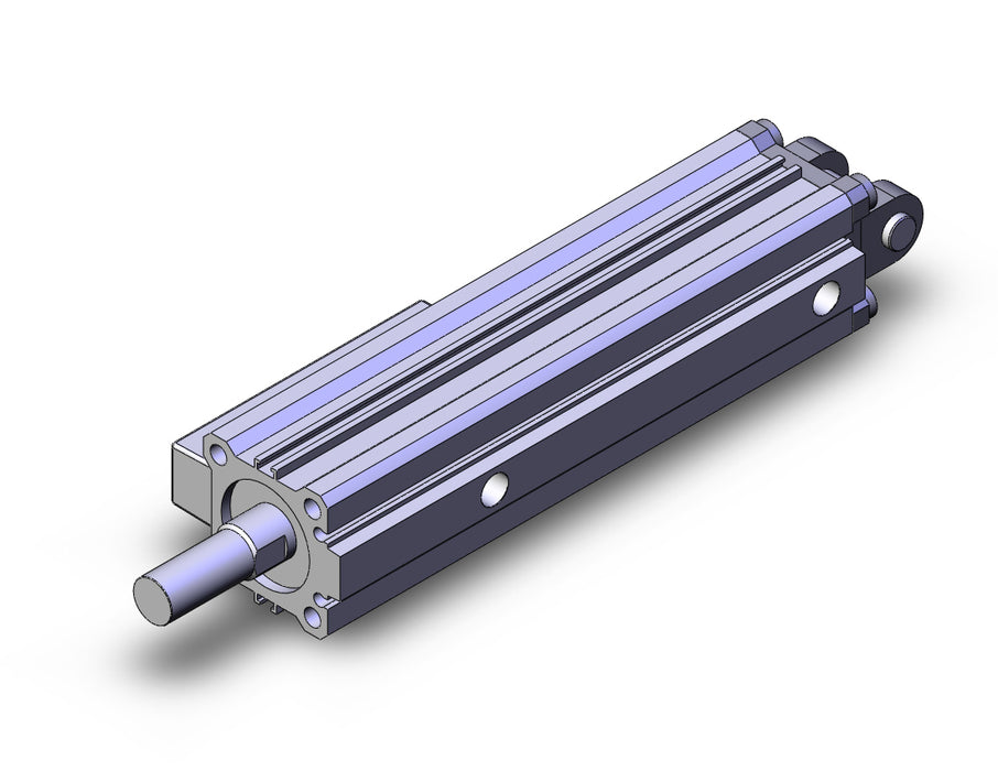 CE1D32-100 CYL, SCALE, W/CONNECTOR