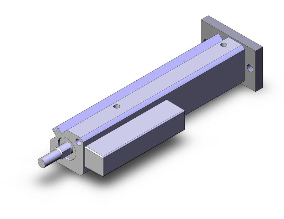 CE1G20-100L Stroke Reading Cylinder