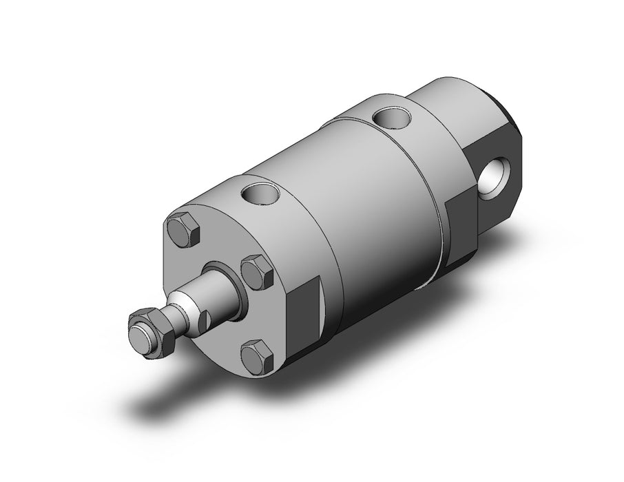 CG5EN100TNSR-25-X165US CG5, Stainless Steel Cylinder