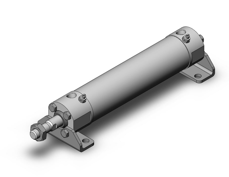 CG5LA32TNSR-100 CG5, Stainless Steel Cylinder